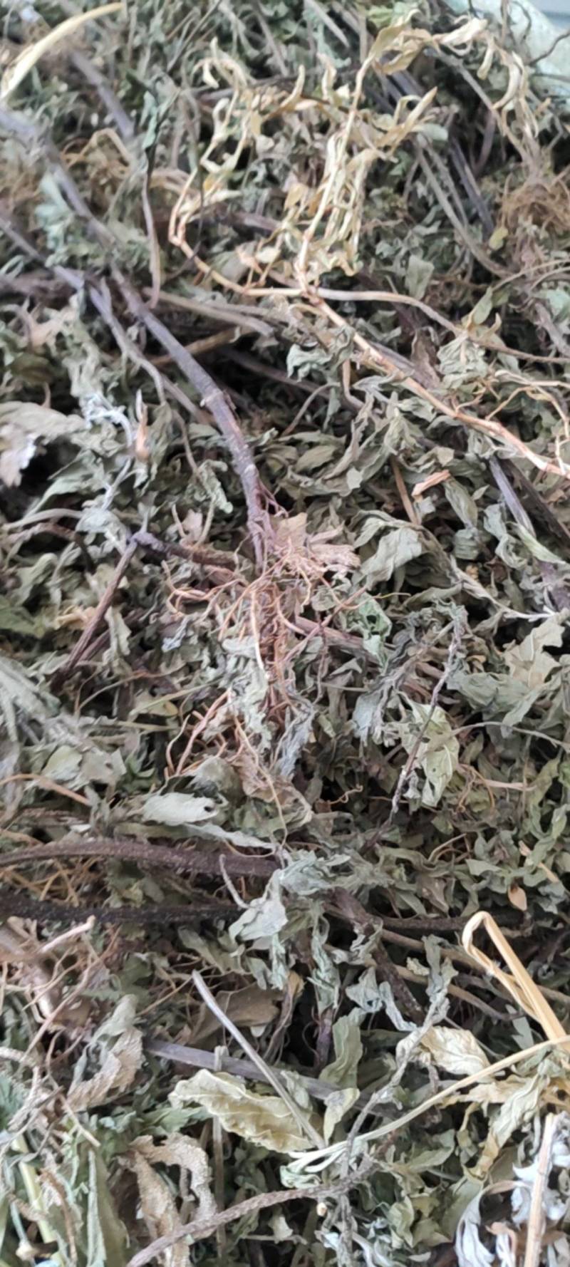 墨旱莲野生货干净无杂质周边老百姓野地采割人工挑选产地直发