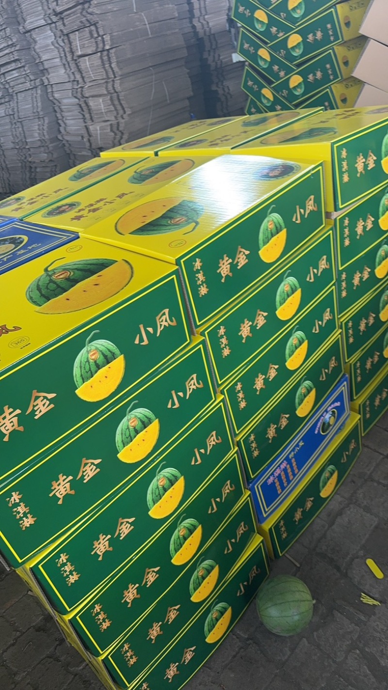 特小凤西瓜头茬东北货大量供应