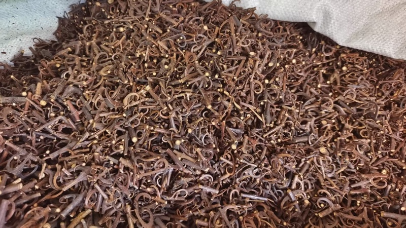 钩藤双钩选货2斤包邮量大优惠