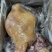 【熟牛头肉】五香牛头肉