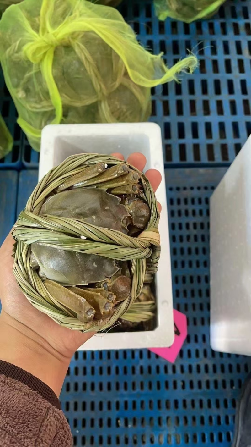 江苏大闸蟹，现货现发，产地一手货源，量大价格从优