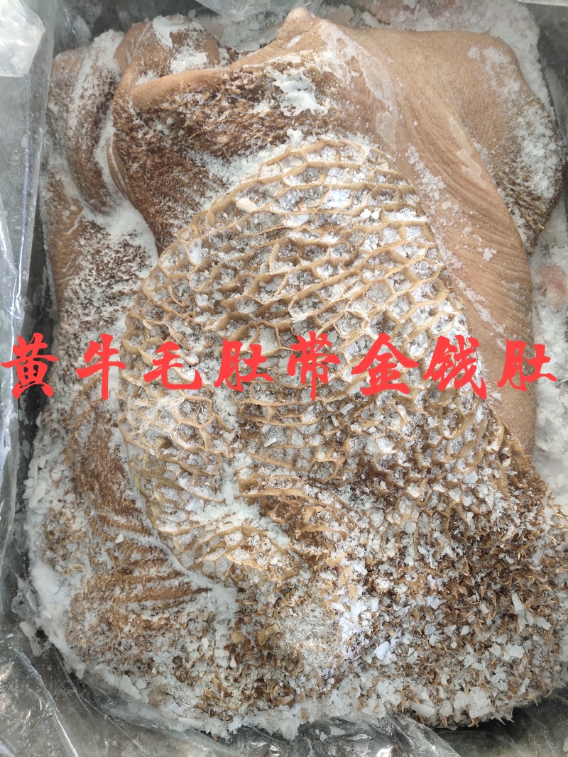 【牛毛肚】黄牛的毛肚，生的带金钱肚！水洗干净速冻不是标件