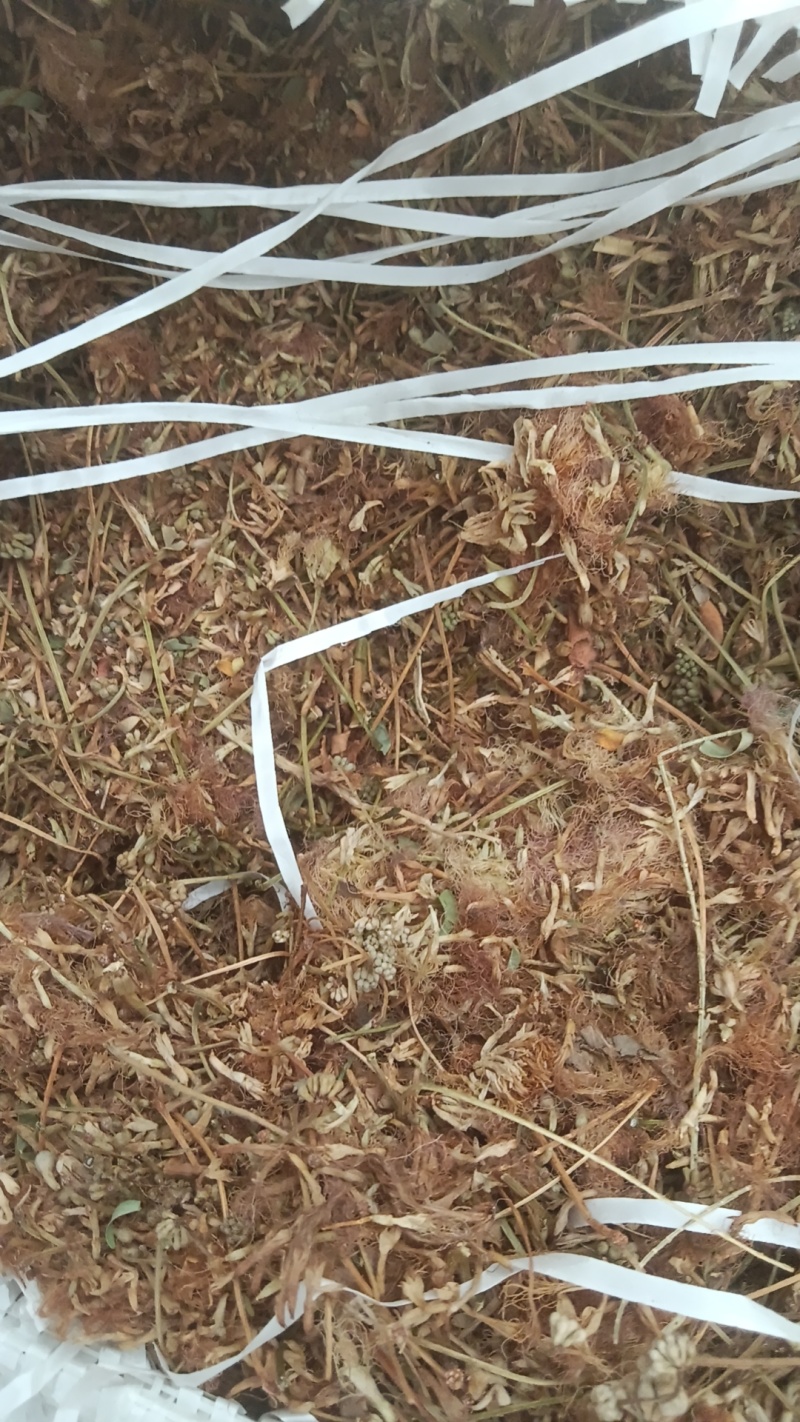 中药材合欢花，榕花。大量供应支持零售批发
