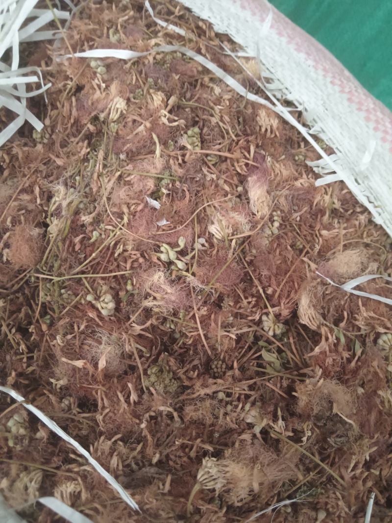 中药材合欢花，榕花。大量供应支持零售批发