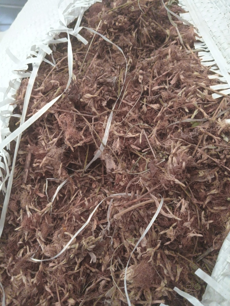 中药材合欢花，榕花。大量供应支持零售批发