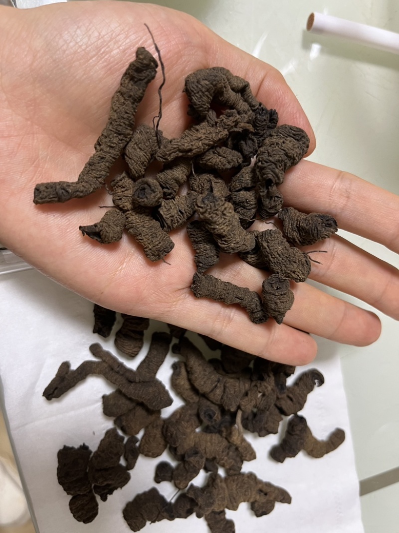 巴戟天制巴戟古法柴火炮制，可即食可泡酒