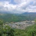高山台芒大量上市，电商可代发
