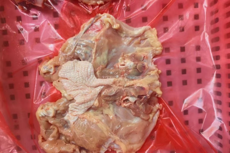 大鸡架