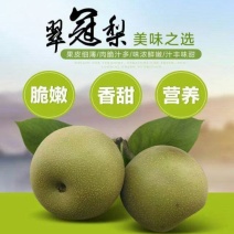 浙江海宁翠冠梨