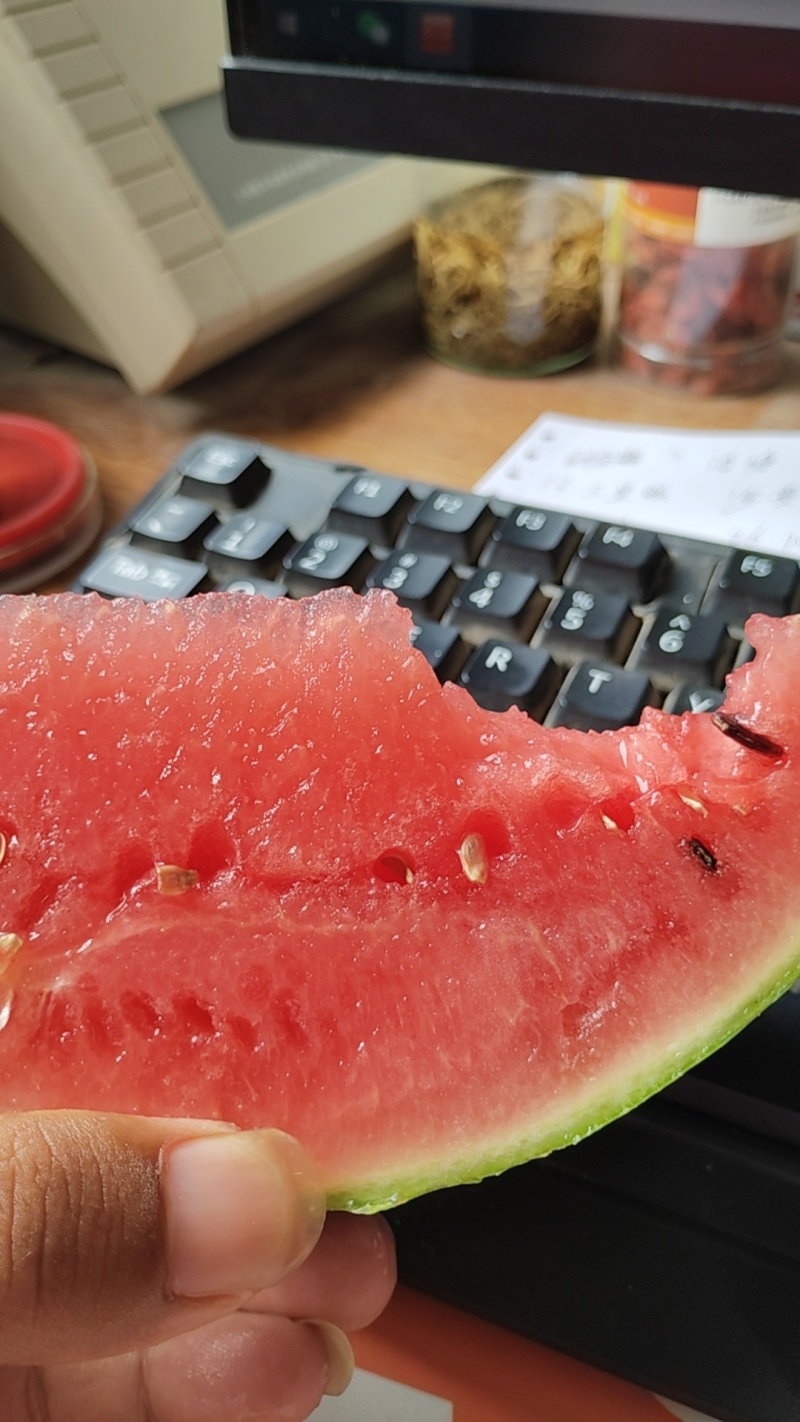 麒麟瓜，批发1000斤起送