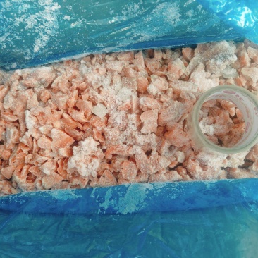 三文鱼同科马哈鱼去皮去刺碎肉箱子装的