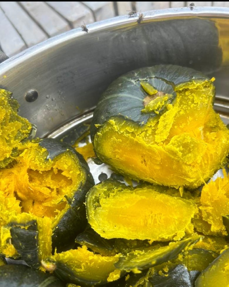 贝贝南瓜，板栗南瓜，口感纯正，全国发货。