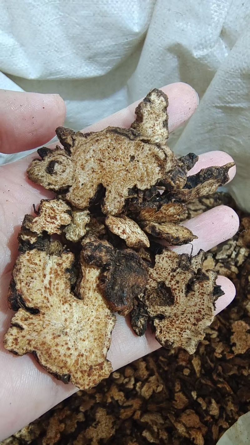 苍术选货大片各种规格2斤包邮量大优惠