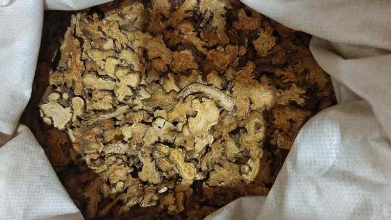 苍术选货大片各种规格2斤包邮量大优惠