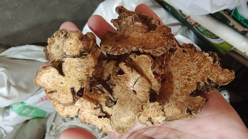苍术选货大片各种规格2斤包邮量大优惠