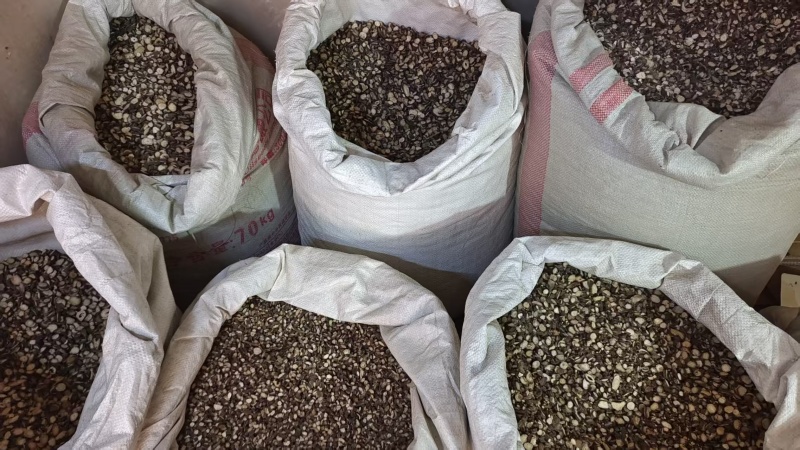 赤芍过筛选货中片2斤包邮量大优惠