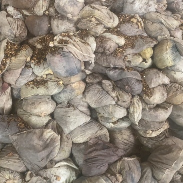 饲料添加剂，发酵料，
