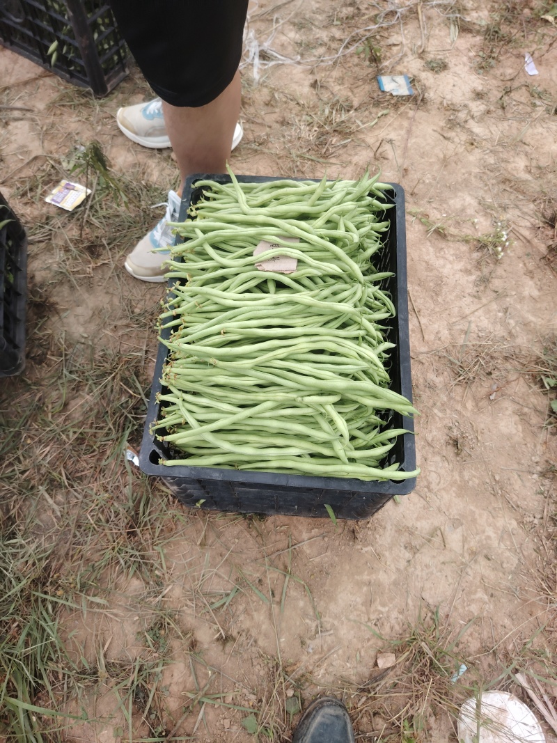 豆角