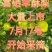 早酥梨