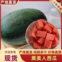 黑美人西瓜，绿爽西瓜，永州西瓜，千亩场地