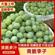 （热卖）青脆李子脱骨李脆甜爽口产地大量供应电商市场批发