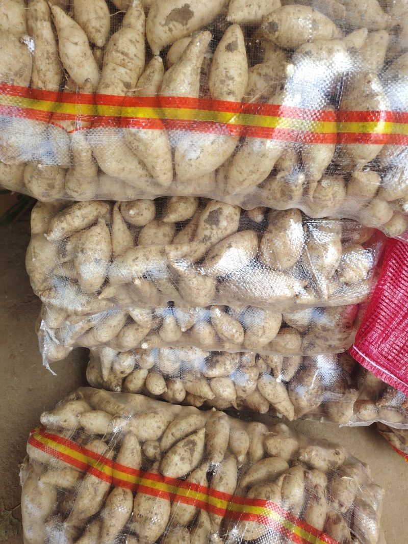 人参薯，小白薯，电商社团直播大量供应
