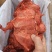 【卤味】五香大肉块，酱香大肉块，量大从优，欢迎您的光临！