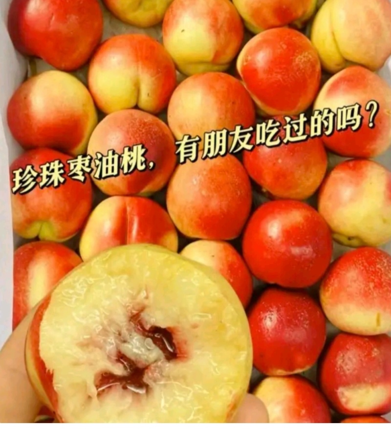 汉中珍珠枣油桃】口感脆甜产地直销代发全国电商超市市场现货