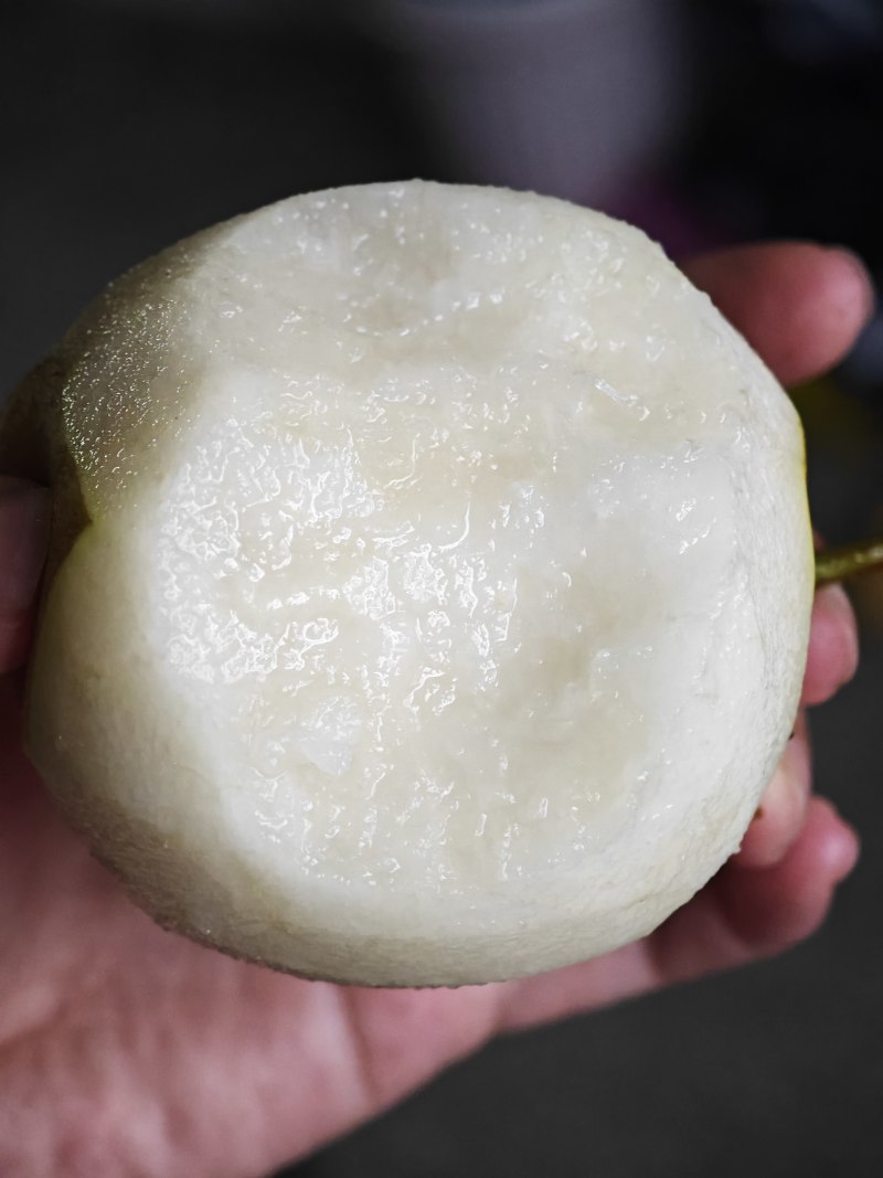 特别好吃的梨子品种！桂花梨源头果地欢迎品鉴收购