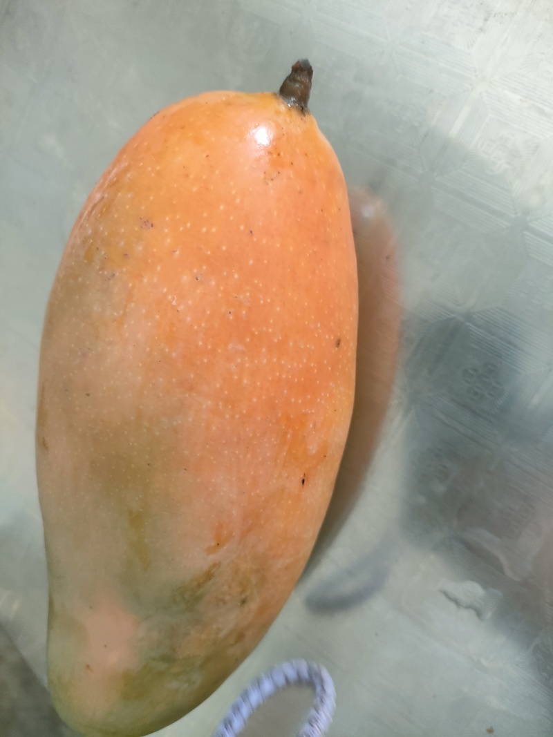 自家种的金煌芒果
