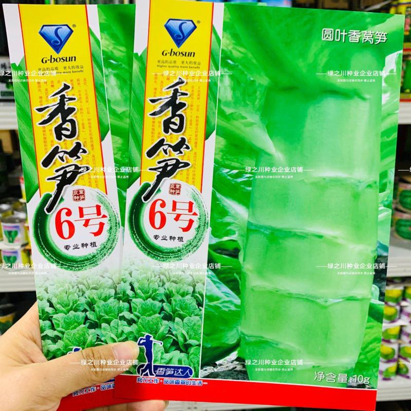 香笋6号高桩圆叶三青莴笋种子耐热抗寒绿皮绿叶莴苣种籽
