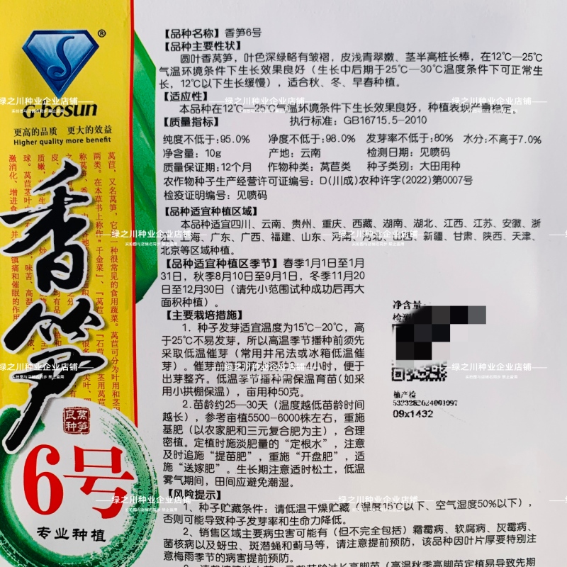 香笋6号高桩圆叶三青莴笋种子耐热抗寒绿皮绿叶莴苣种籽