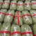 甘肃架豆王豆角大量有货品质优可视频看货