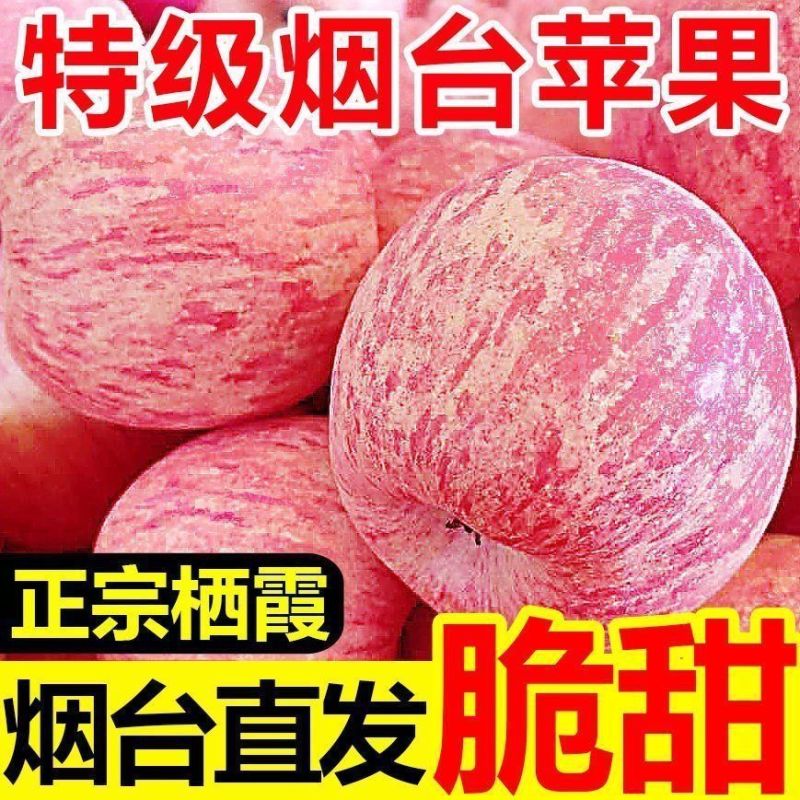 山东红富士苹果，**电商，团购，一件代发。