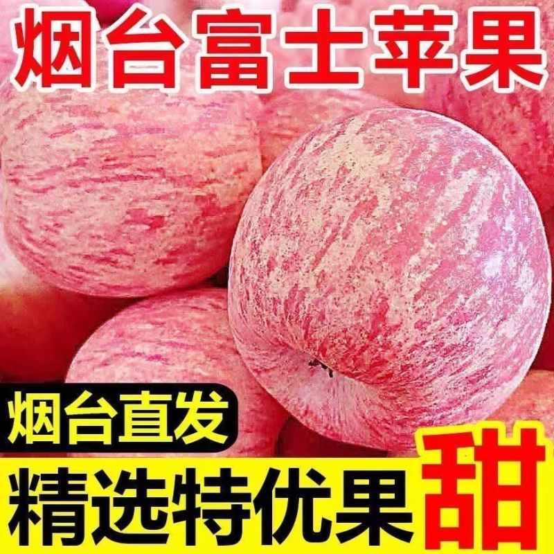 山东红富士苹果，**电商，团购，一件代发。