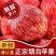 山东红富士苹果，**电商，团购，一件代发。