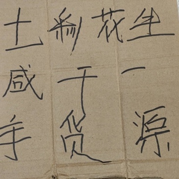 七彩咸干一手货源