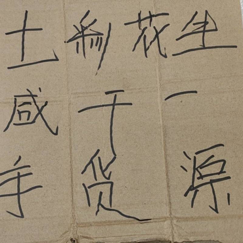 七彩咸干一手货源