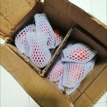 陕西红啤梨电商代发～一件代发～抖音～拼多多～随时发货