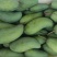 各种各样的芒果