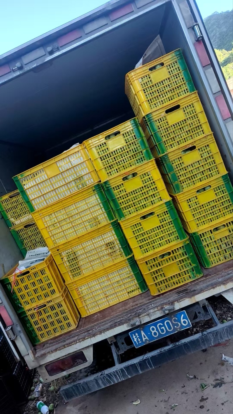 奈李，桃形李广西基地直发对接商超电商抖音快手一条龙