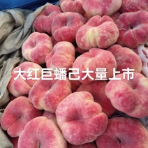 巨盘蟠桃品质保证支持视频看货选货量大从优