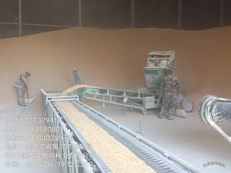 干玉米，黑龙江格翔农业发展有限公司一手货源直供，量大价优