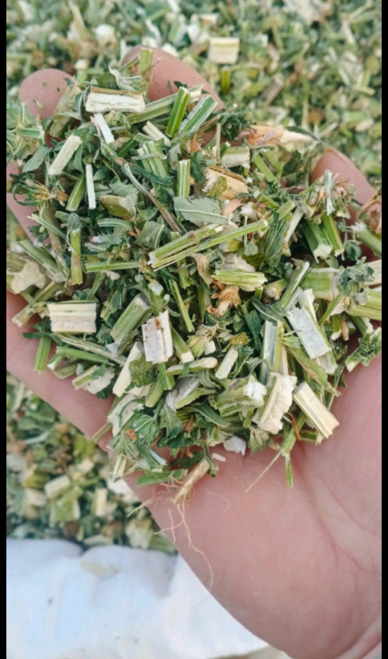 益母草野生货干净无杂质周边老百姓野地里采割人工挑选产地