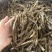 广西北海沙虫干工厂直销价格有优势欢迎联系