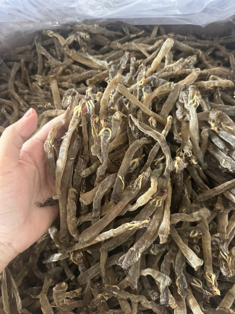 广西北海沙虫干工厂直销价格有优势欢迎联系