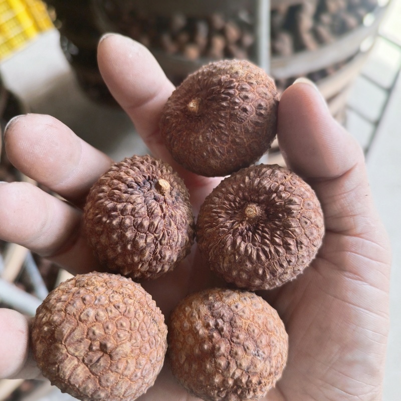 广西鸡嘴荔枝干工厂直销可批发零售电商商超社区团购全国发货