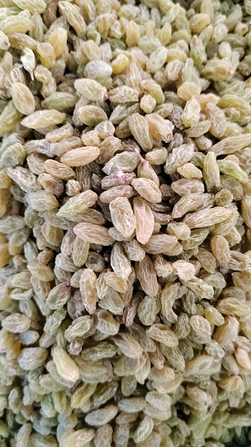 葡萄干电商专用，整吨整车批发，一手货源，支持一件代发