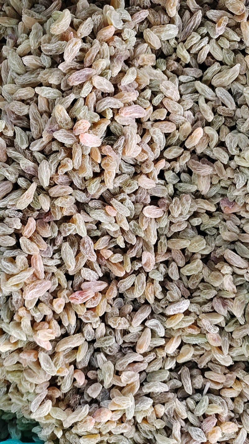 葡萄干电商专用，整吨整车批发，一手货源，支持一件代发