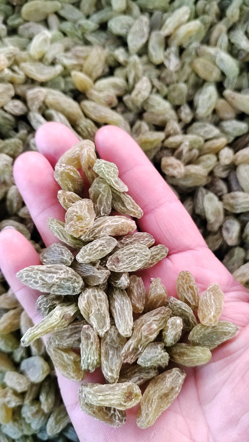 葡萄干电商专用，整吨整车批发，一手货源，支持一件代发